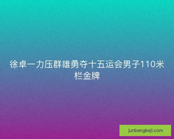 徐卓一力压群雄勇夺十五运会男子110米栏金牌